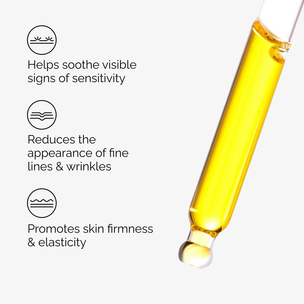 100% Fermented Rose Hip Seed Oil - Clean Comfort