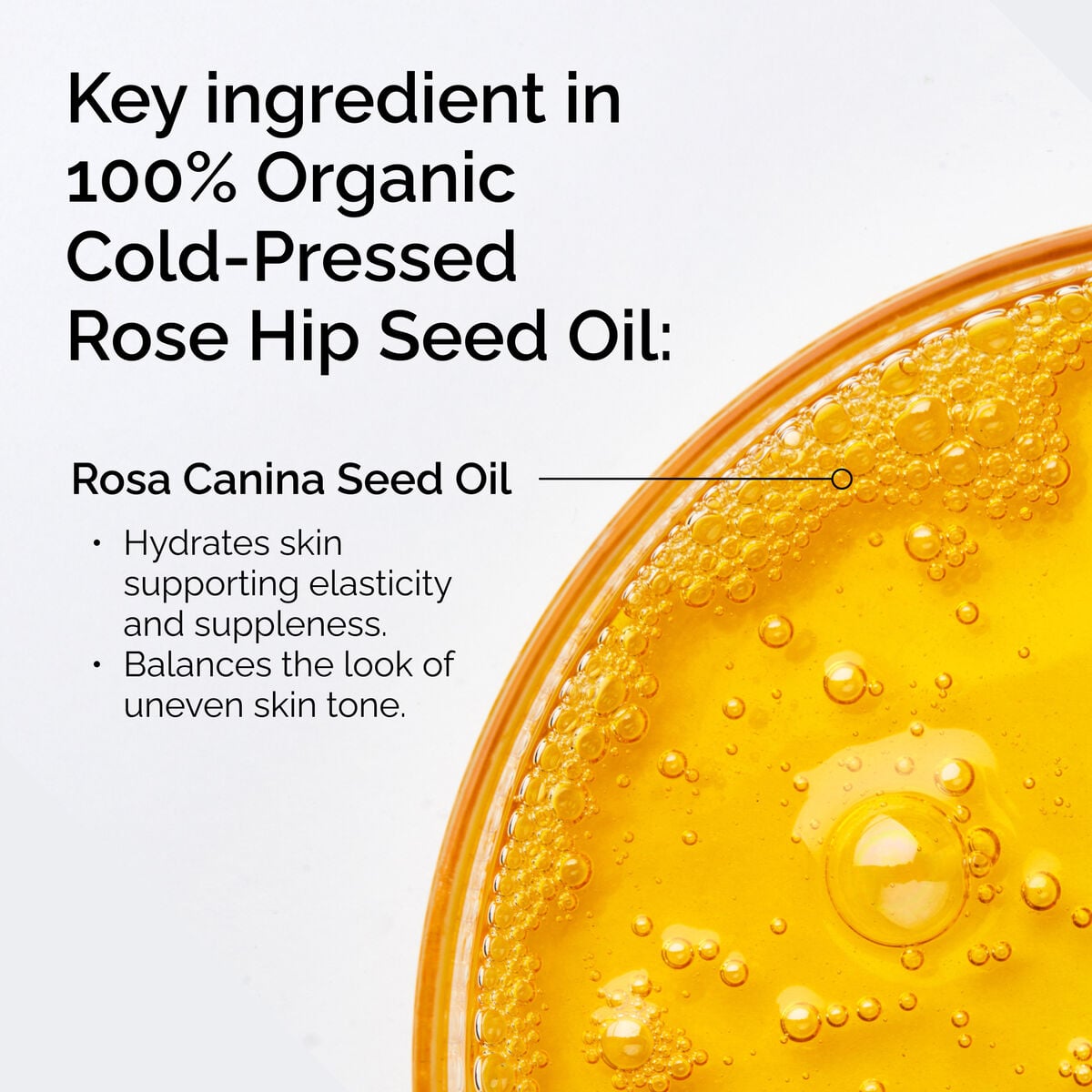 100% Organic Cold-Pressed Rose Hip Seed Oil - Warm Blend