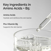 Amino Acids + B5 - Calm Care