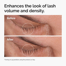 Multi-Peptide Lash and Brow Serum - Modern Glow