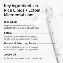 Rice Lipids + Ectoin Microemulsion - Clean Bundle