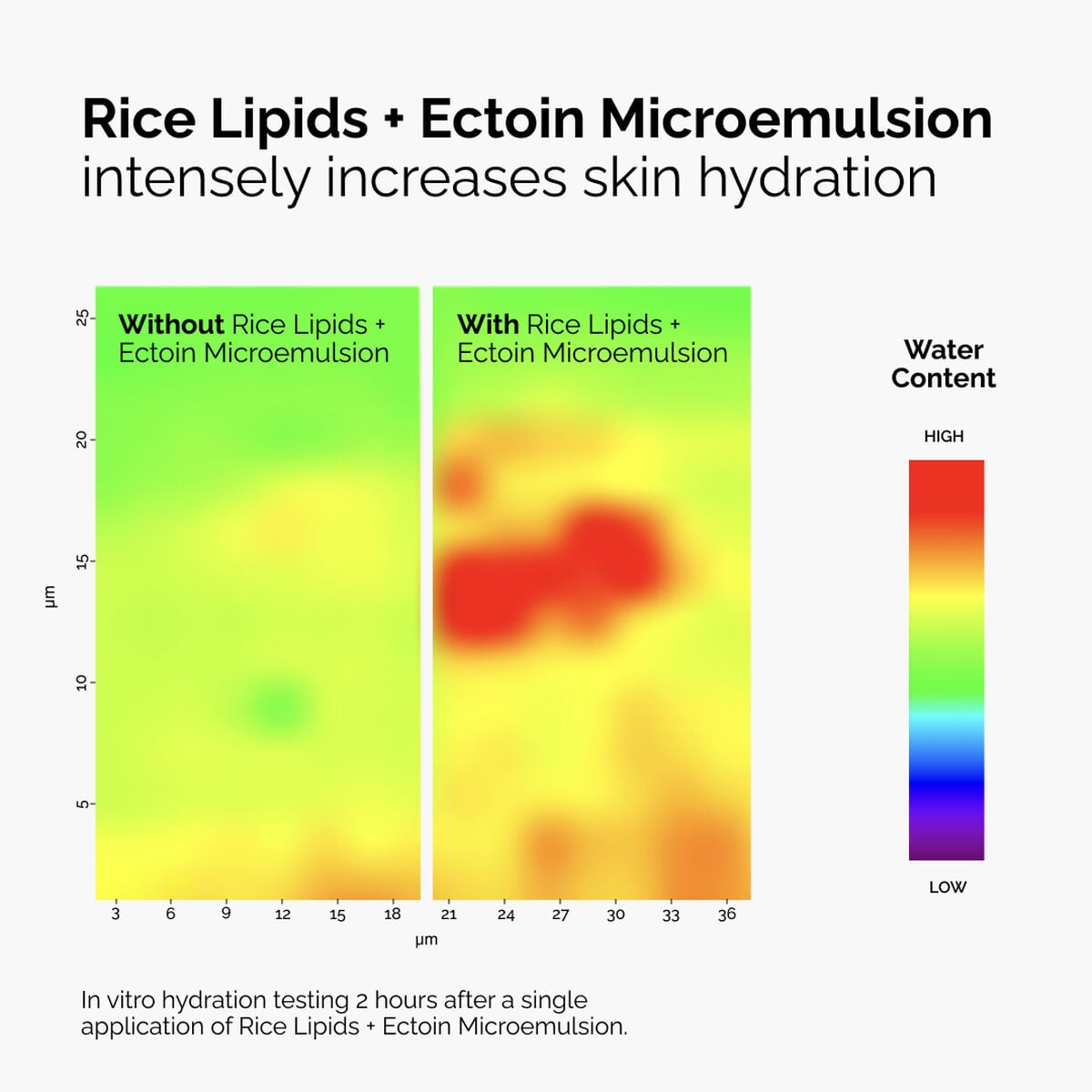 Rice Lipids + Ectoin Microemulsion - Clean Bundle